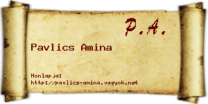 Pavlics Amina névjegykártya